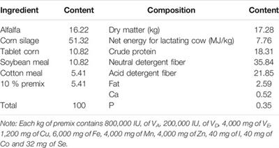 Screening and Conjoint Analysis of Key lncRNAs for Milk Fat Metabolism in Dairy Cows